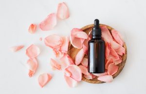 Silikon Makyaj Çantası, Doğal Karadut Özü ve Jojoba Yağı: Güzellik ve Bakımın Doğal Dokunuşları fitalive4
